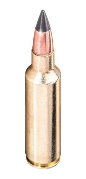 /images/munitions/bullet/Munitions carabines/Extrempoint/CX65DS_BULLET_1.png
